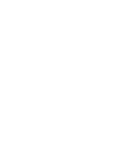 Syana Travel